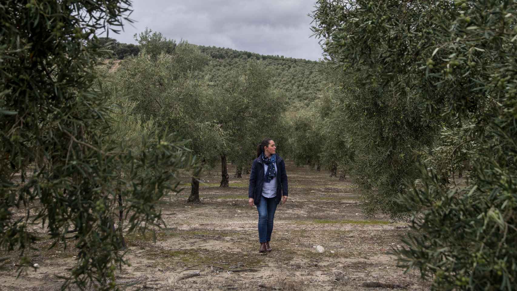 Rosa García revisando el estado de unos olivos del término municipal de Estepa.
