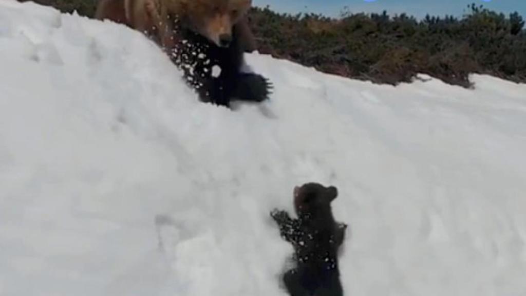 Una de las capturas del vídeo que sacó el tuitero