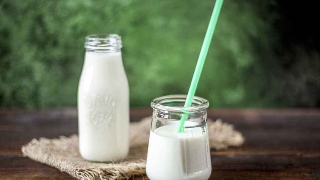 La leche es uno de los alimentos más completos de nuestra dieta