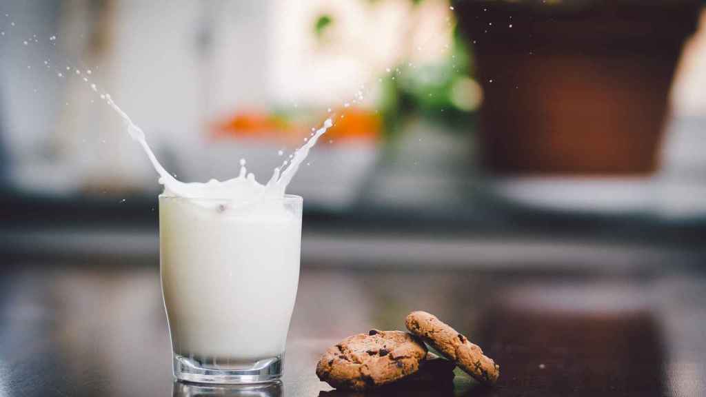 Un solo vaso de leche de vaca nos aporta 300 mg de calcio