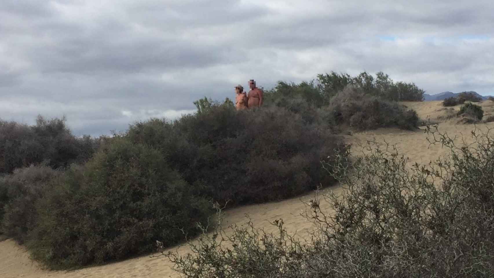 nudistas orgias playas voyeur