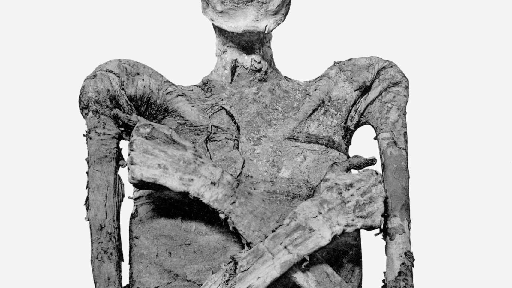 Momia de Merneptah.