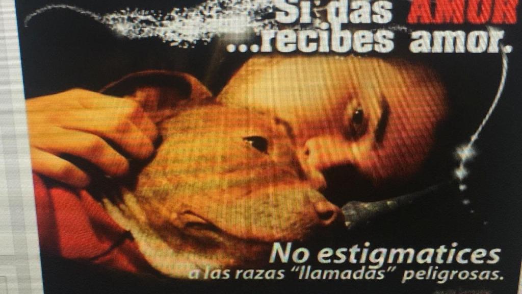 Una de las imágenes que la madre compartía en redes sociales.