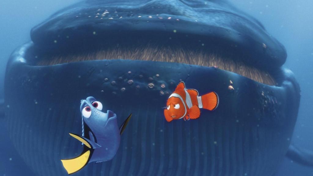 El pez cirujano Dory intenta comunicarse con una ballena australiana