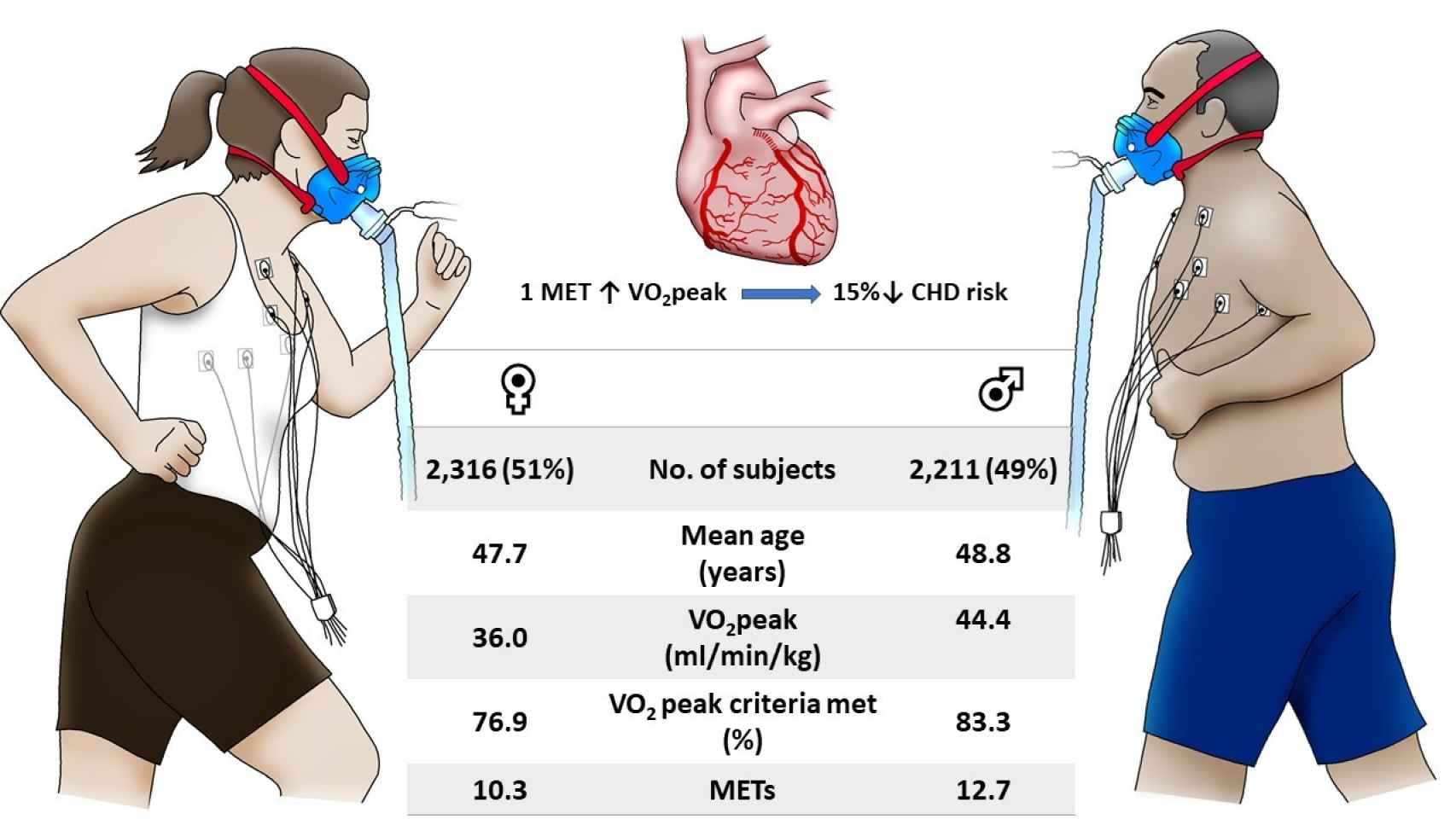 Relación entre VO2 Max y riesgo cardiovascular.