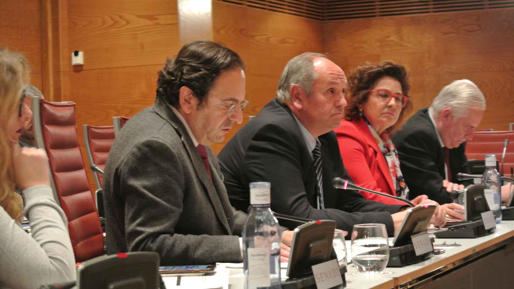 Luis Aznar, senador y portavoz del PP en la comisión de financiación de partidos políticos en la Cámara Alta.