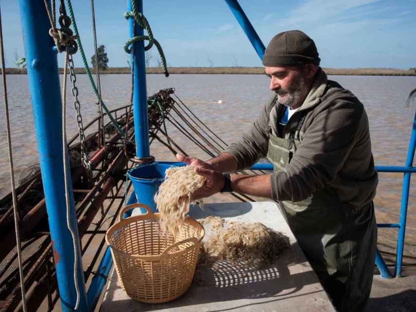 EL ESPAÑOL es testigo de cómo David y José Manuel pescan con sus redes cuatro kilos de camarones en apenas unas cuantas horas.