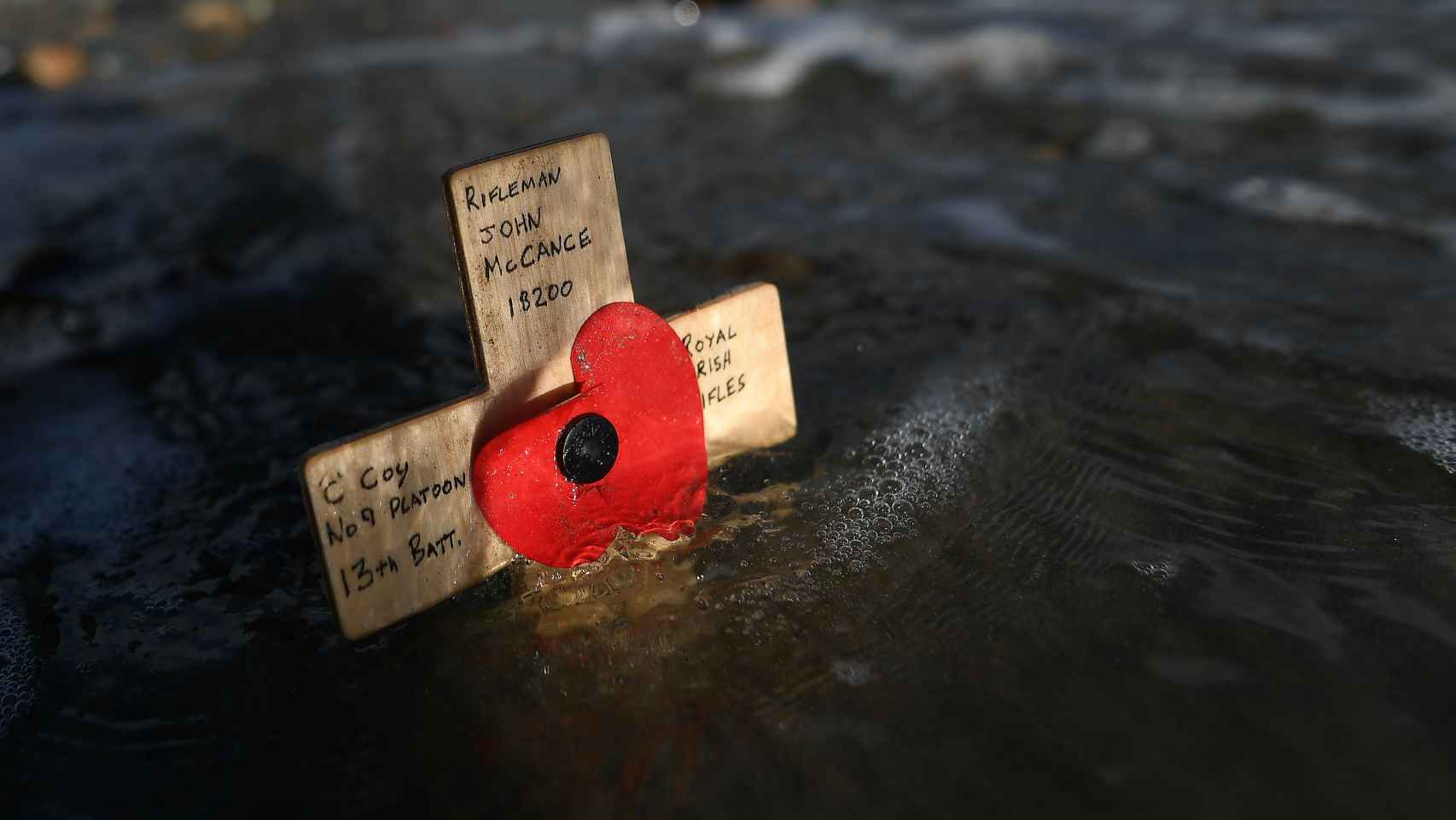 Una flor sobre una cruz en una playa de Newcastle durante los actos conmemorativos por el 100 aniversario del fin de la Gran Guerra.