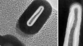 Transistores 2.5 nm