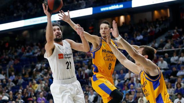 Real Madrid - Herbalife Gran Canaria