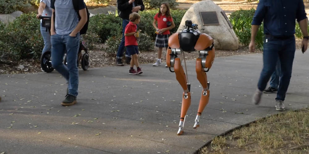 Robots piernas 3