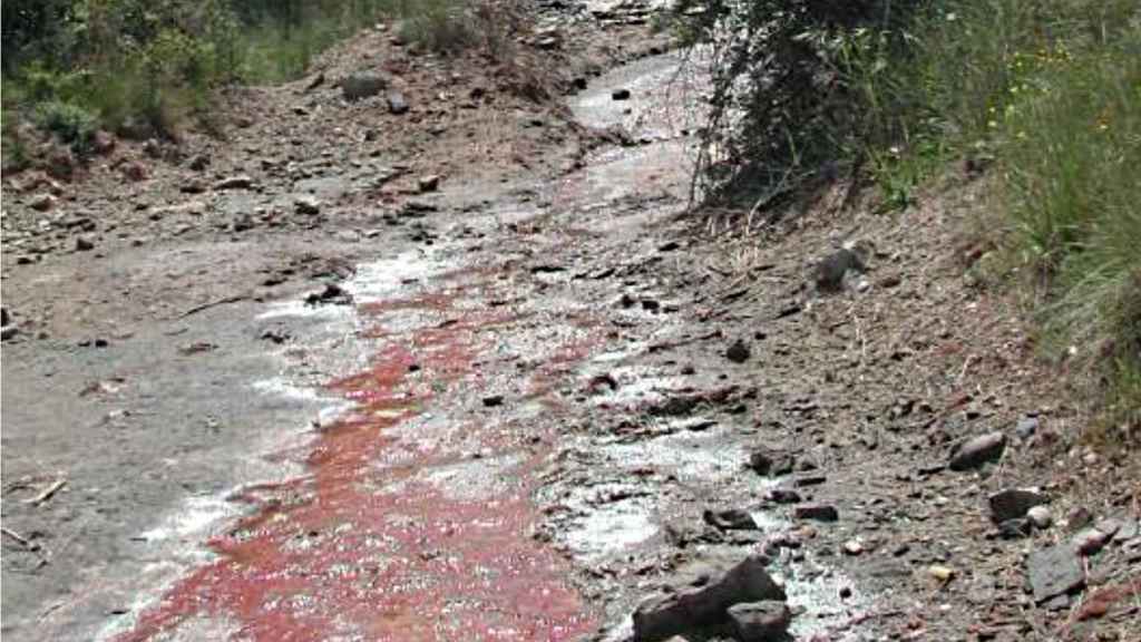 Las placas de sal y la coloración rojiza por salinización de la Malesa, afluente del torrente de Soldevila.