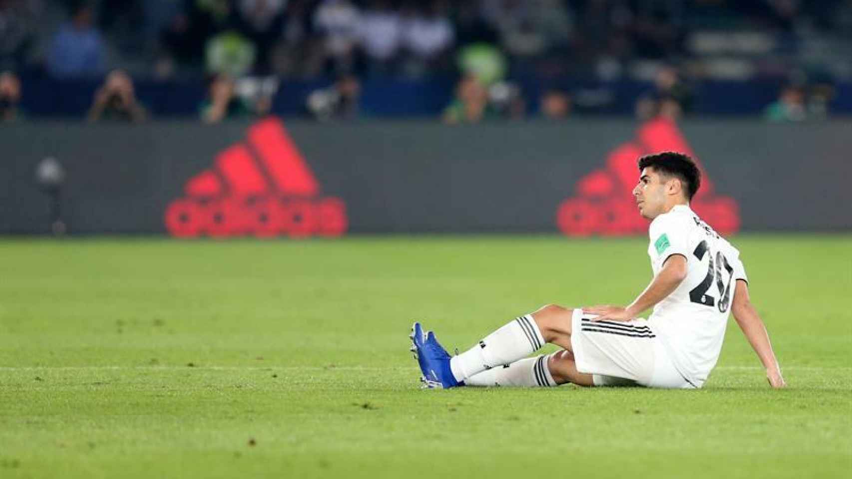 Marco Asensio, lesionado en la semifinal del Mundial de Clubes