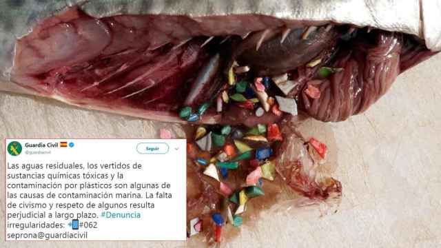 Uno de los tuits de seguridad alimentaria del SEPRONA / @guardiacivil