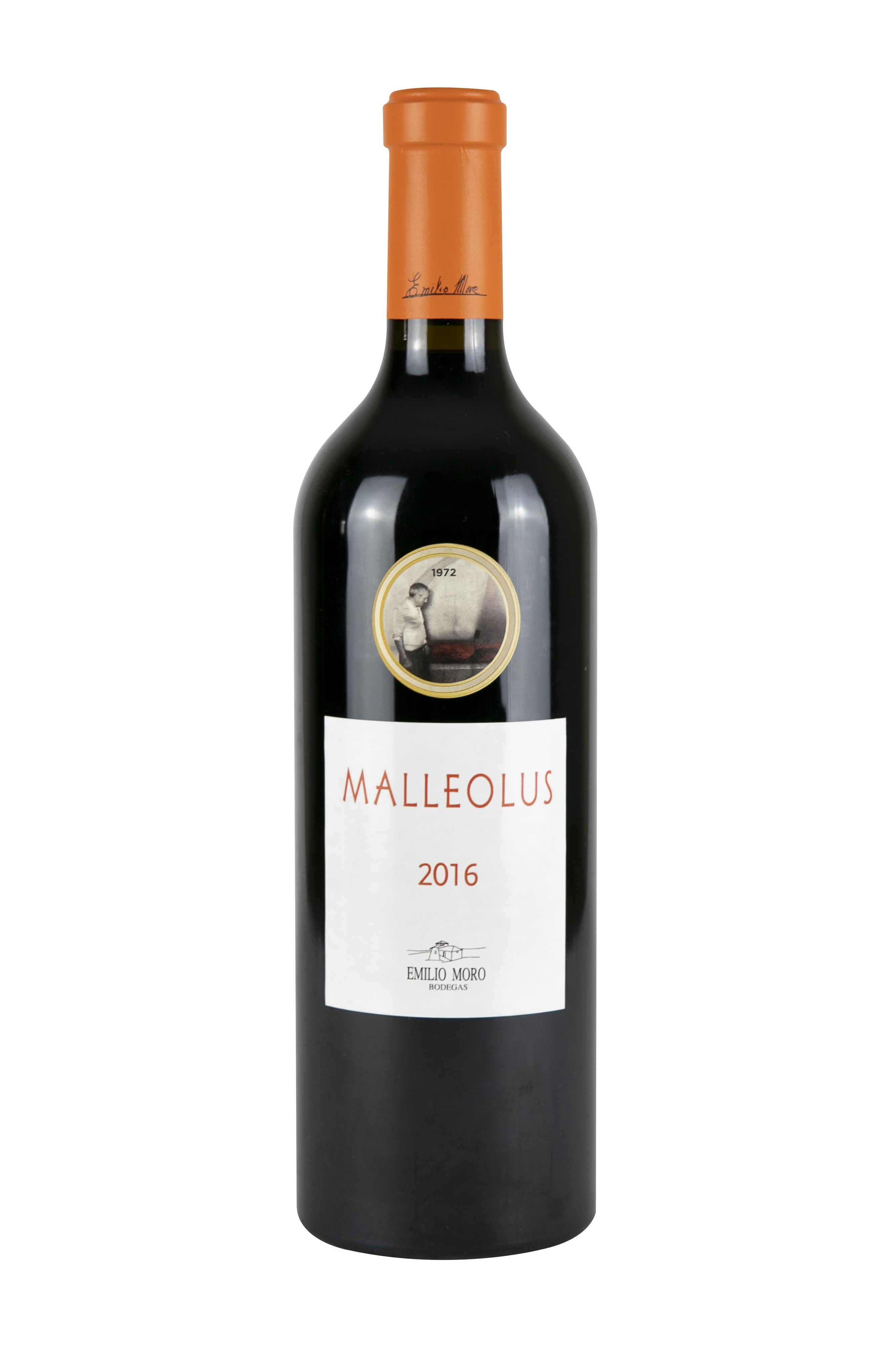 Malleolus16