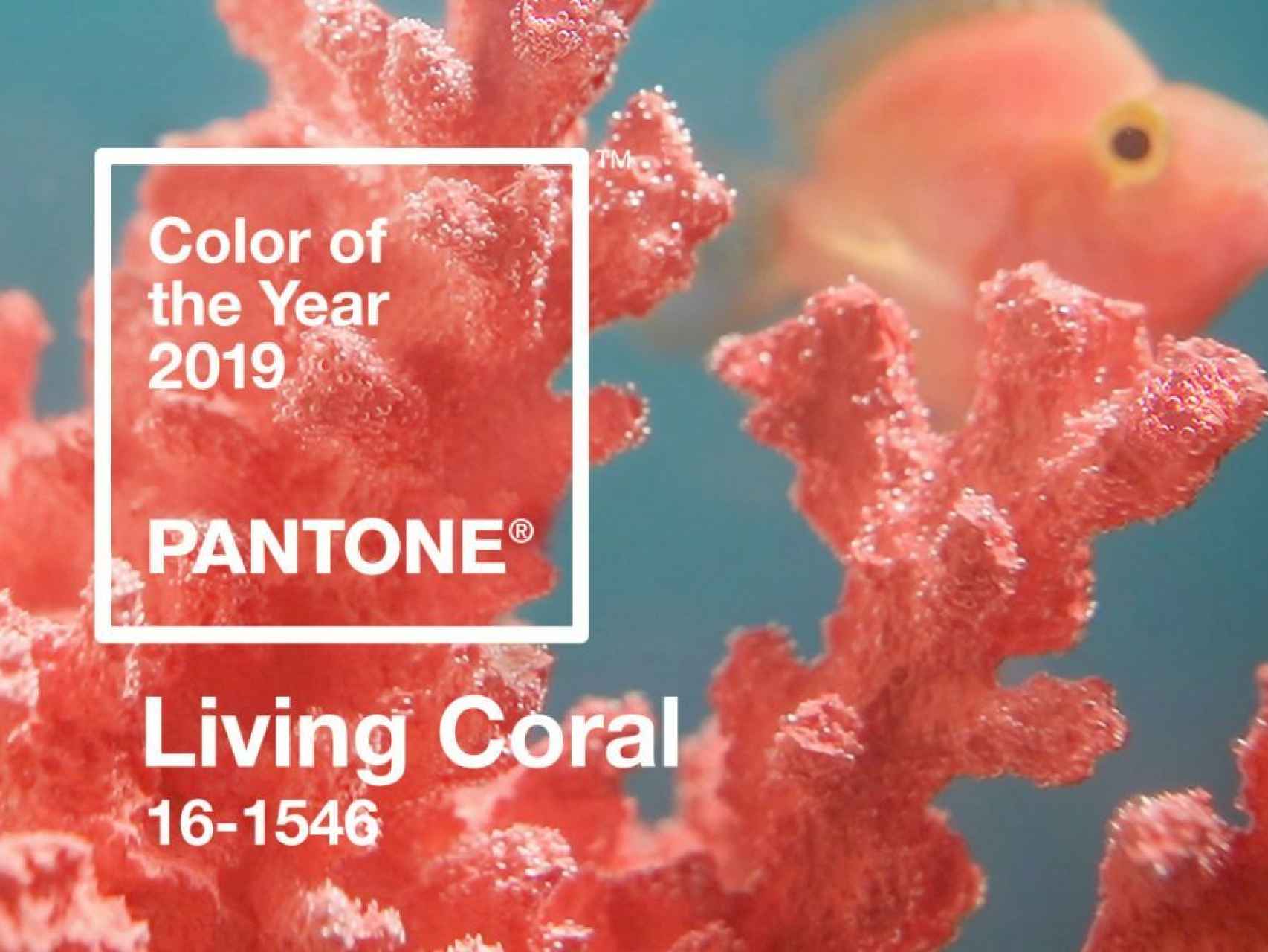 Color of the Year 2019, según Pantone.