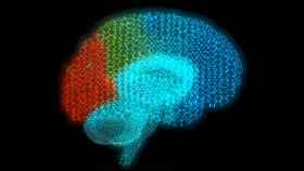 Esta tecnología realiza un mapeo de las señales del cerebro.
