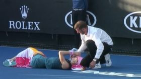 Petkovic cae fulminada debido al calor en el Abierto de Australia. Foto: Twitter (@M_Krogulec)