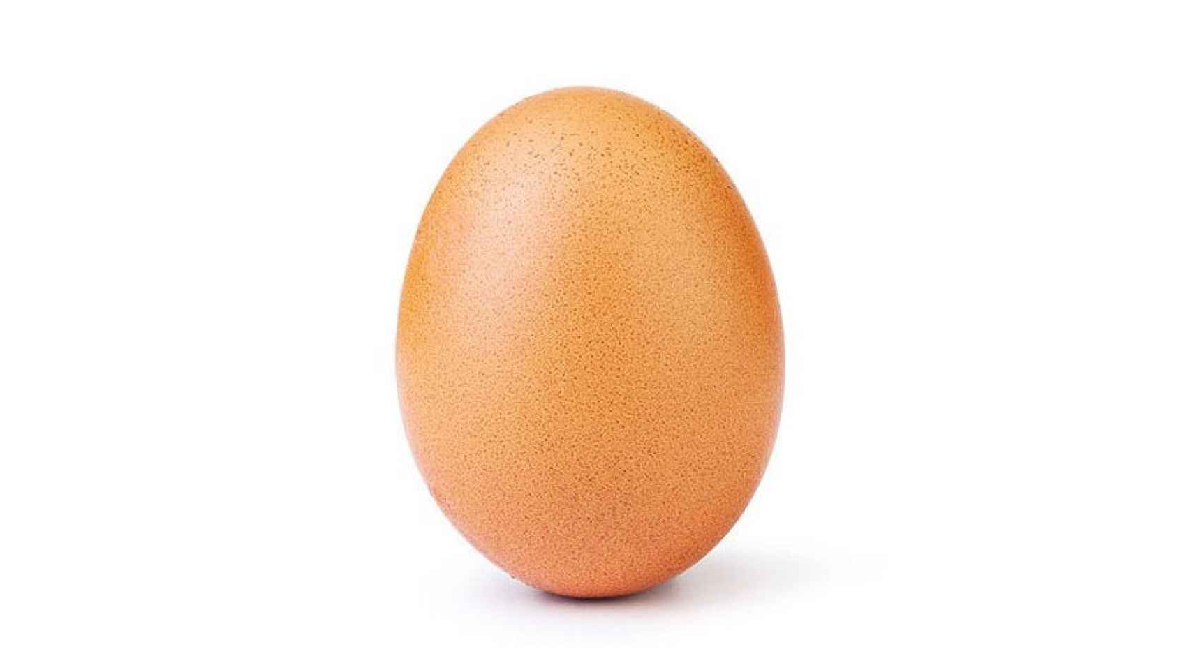huevo instagram