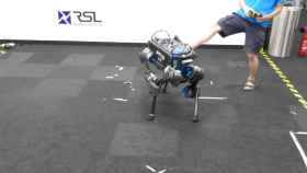 perro robotico 1