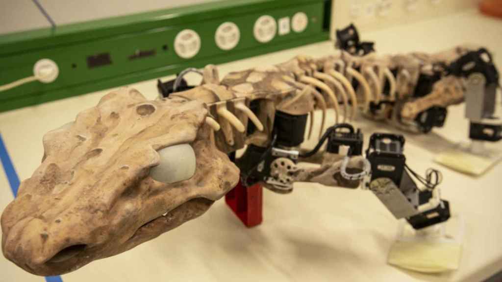 Estos Robots Fosiles Nos Ensenan Como Andaban Los Animales