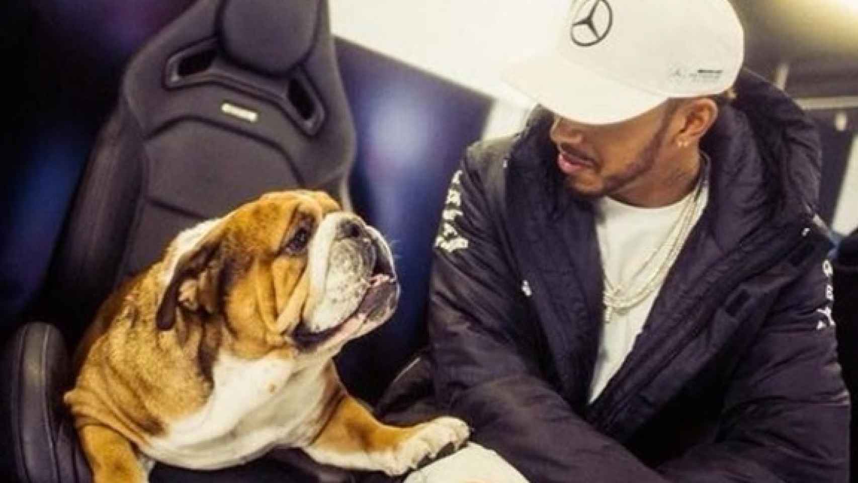 Hamilton, junto a su perro. Instagram: (@lewishamilton)