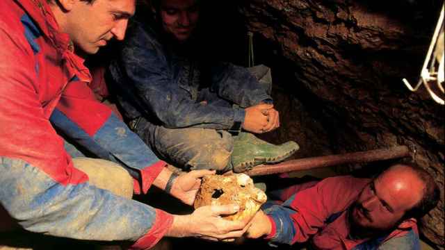 Juan Luis Arsuaga e Ignacio Martínez en el momento del descubrimiento del Cráneo 4 Agamenón de la Sima de los Huesos en 1992
