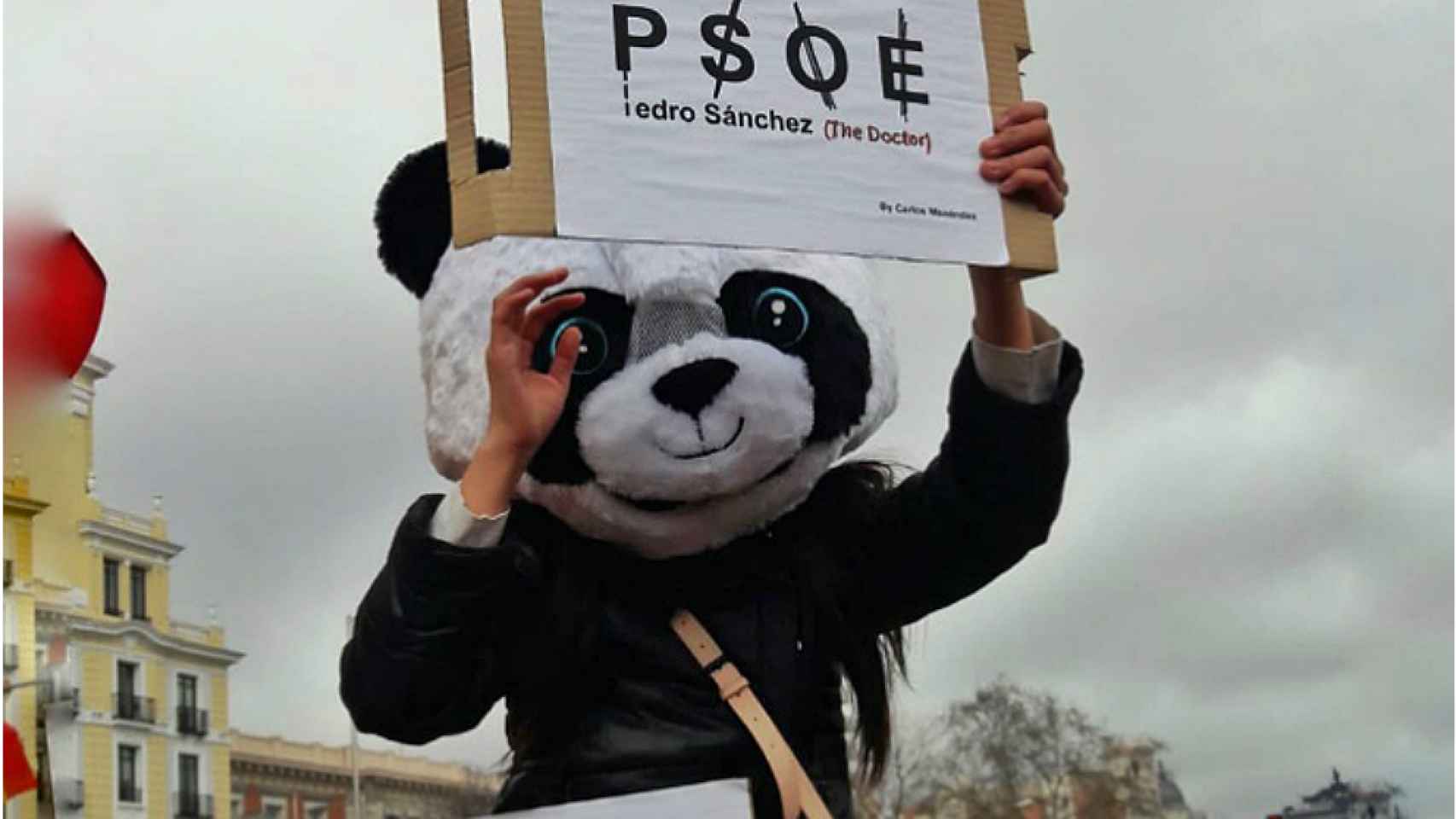 Un oso panda subido a hombros pide elecciones acusando al PSOE de no respetar sus siglas.