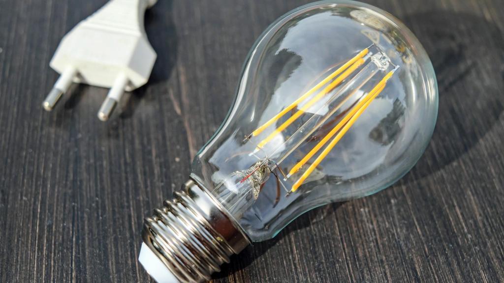 Cómo ahorrar electricidad y conservar el ecosistema