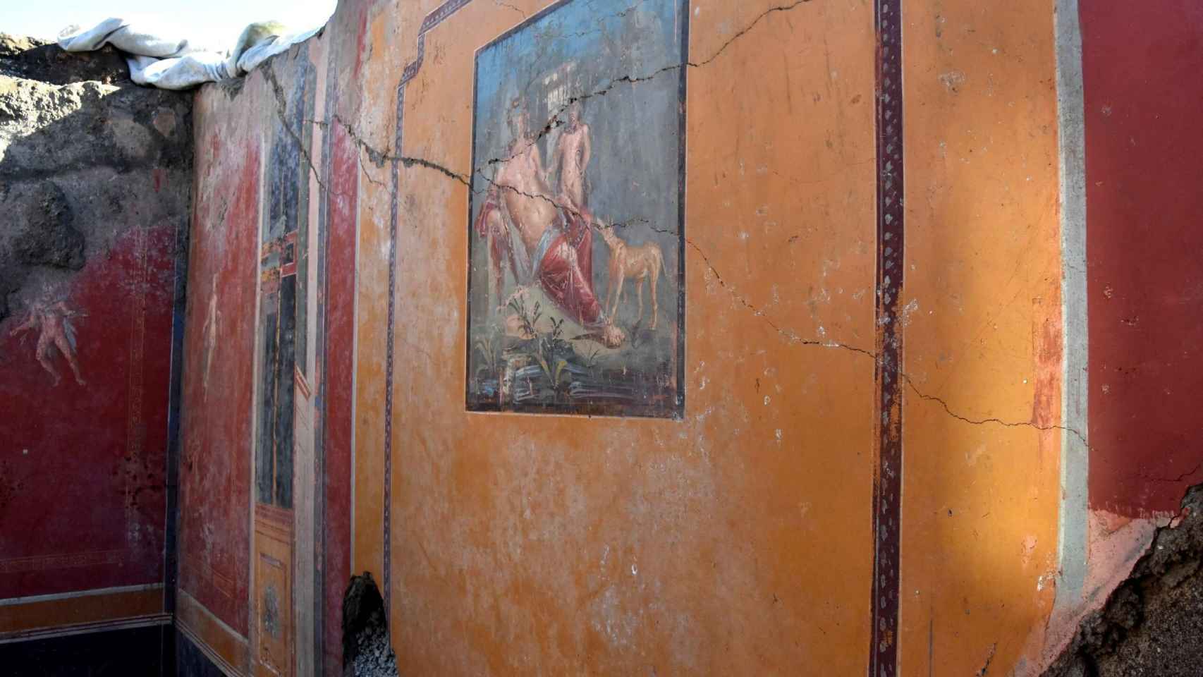 Vista de un fresco que representa el mito de la belleza de Narciso descubierto en Pompeya.