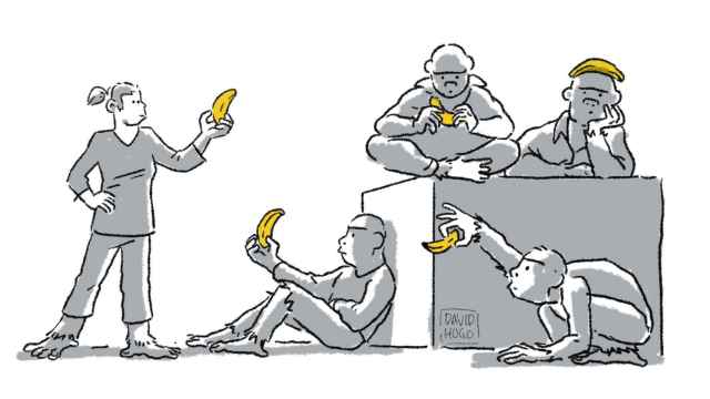 El dilema de los cinco plátanos