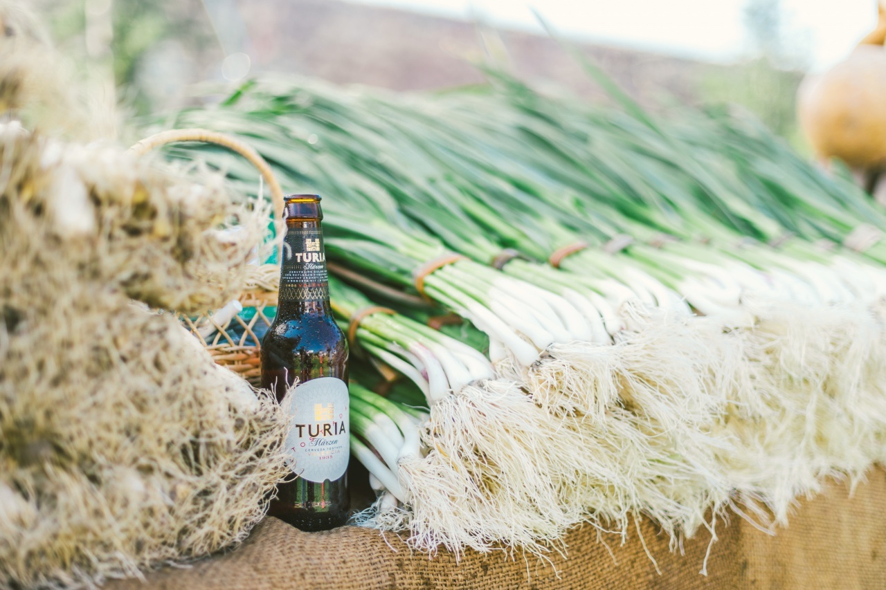 FestivalHortaTuria_CervezaTuria_7