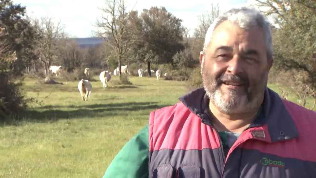 José Pinto y sus vacas en el campo
