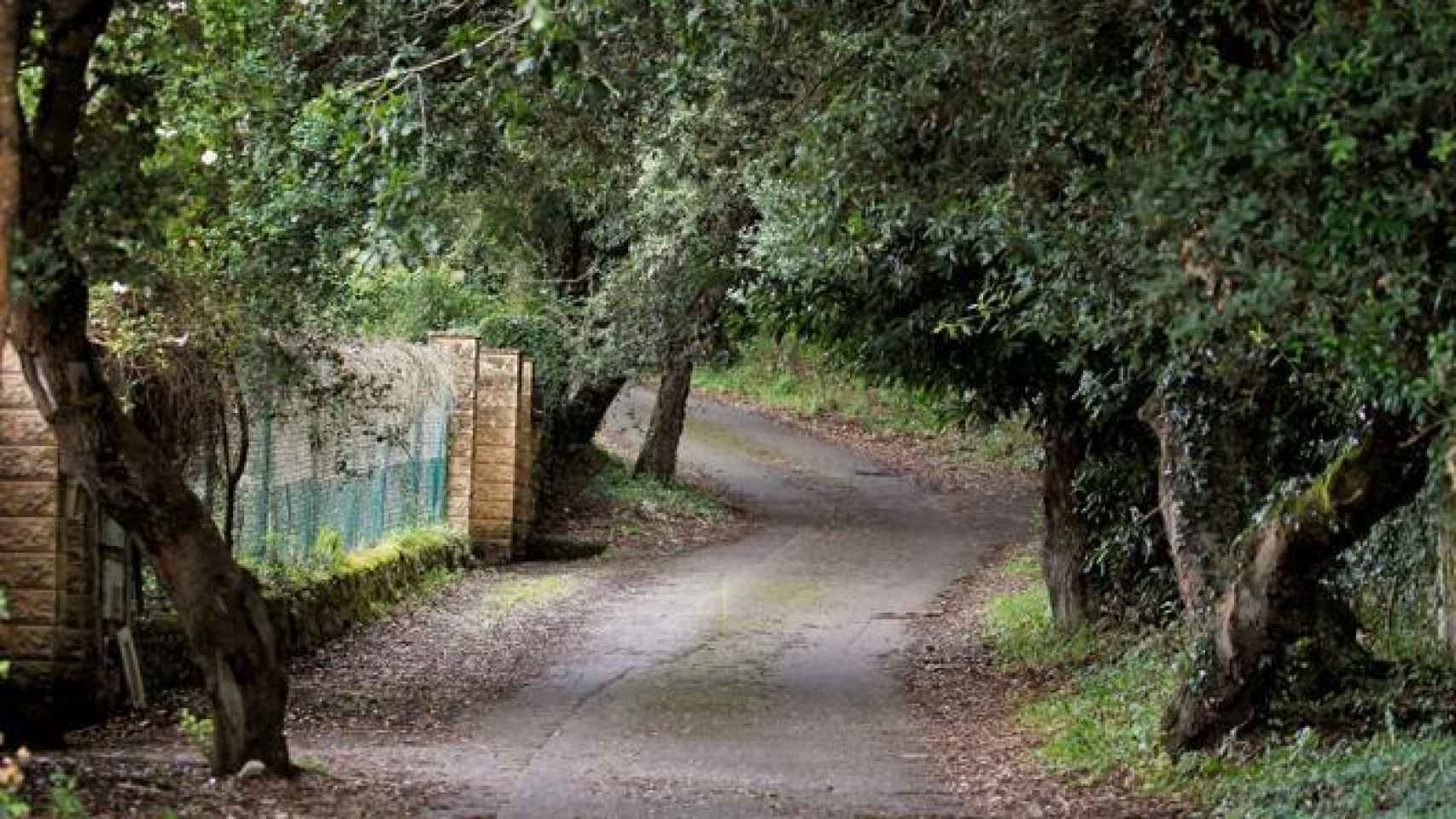 Camino de acceso a la casa de Ardines en Belmonte de Pría, donde apareció el cuerpo.