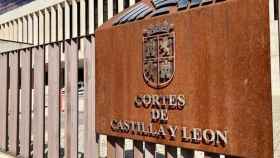 Las Cortes de Castilla y Leon (24)