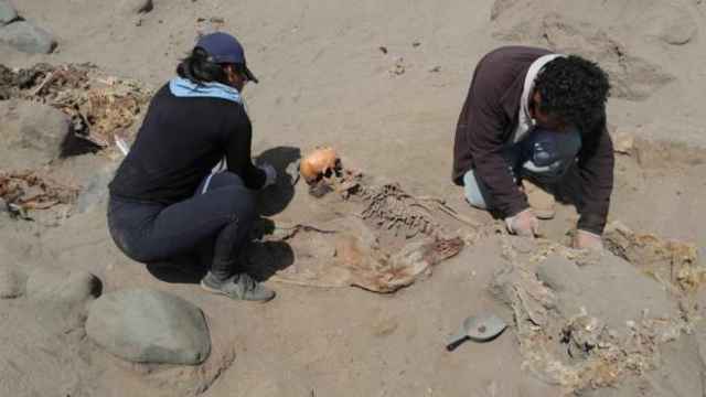 Excavación en Huanchaco, Perú.