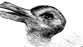 pato conejo ilusion 2