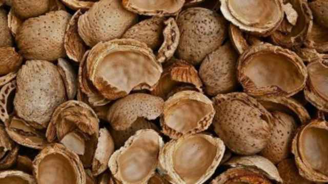 cscaras-de-almendra-frutos-secos-biomasa
