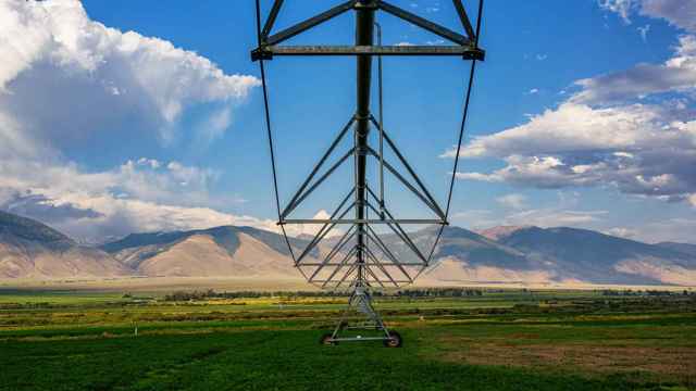 Un sistema español cambia la hora de riego del campo según el precio de la energía