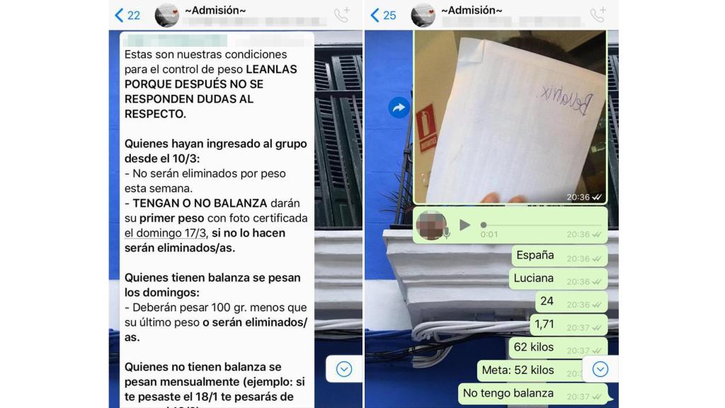 En la imagen, capturas de los exigentes grupos de WhatsApp a los que no es fácil entrar.