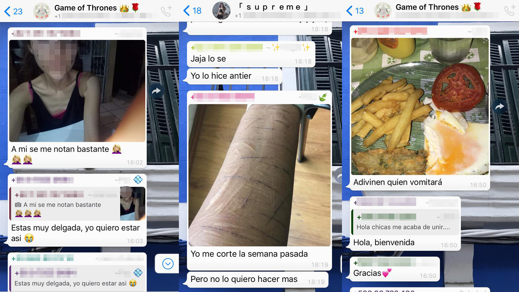En la imagen, varias capturas de los grupos de WhatsApp de anoréxicas y bulímicas donde me infiltré durante una semana.