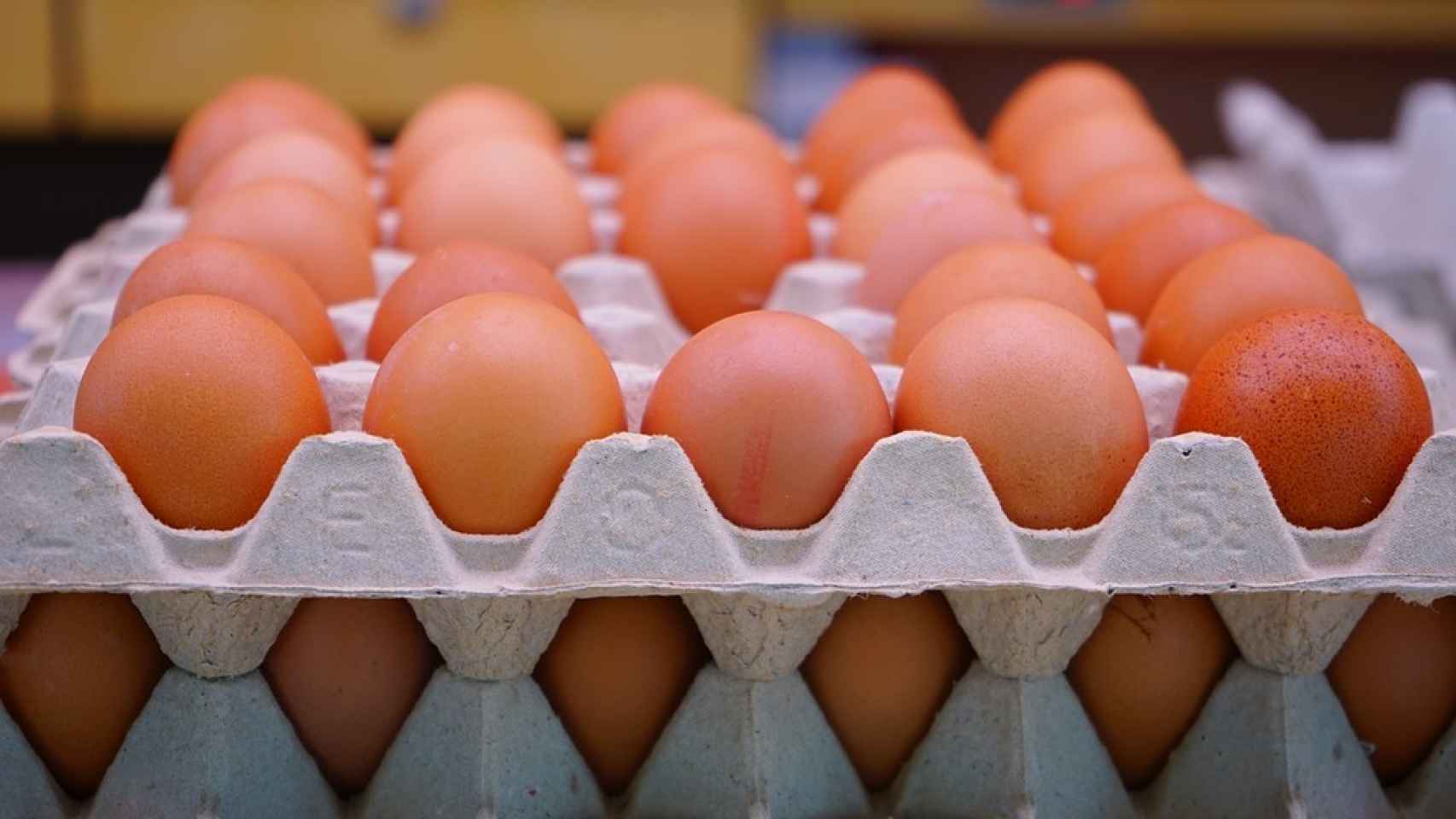 El huevo es uno de los alimentos con más vitamina D