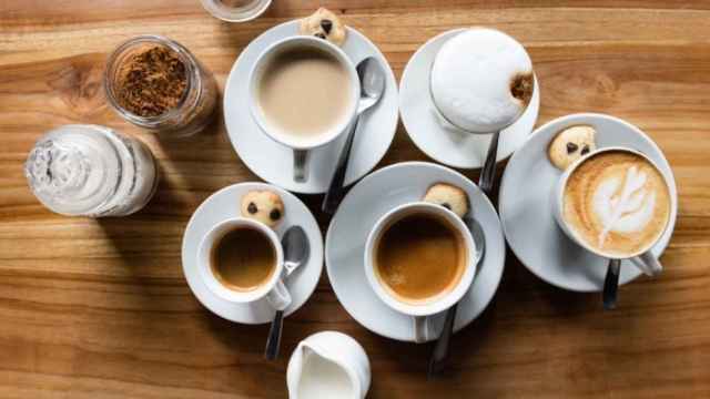 Achicoria, la alternativa al café para dejar la cafeína