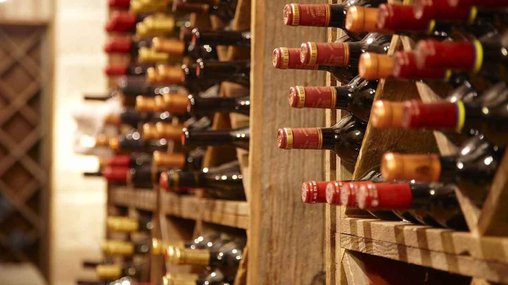 Conserva tus vinos a la temperatura ideal en una vinoteca 8 botellas