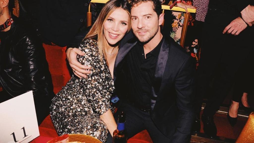 Rosanna Zanetti y David Bisbal serán padres en las próximas semanas.