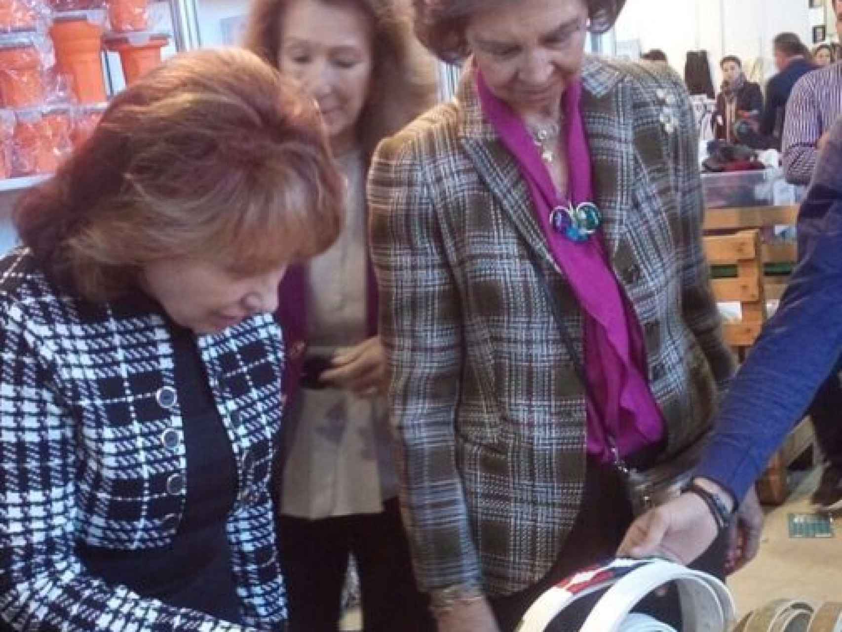 Lina Lavin de la Car junto a la reina Sofía en el rastrillo Nuevo Futuro de Madrid.