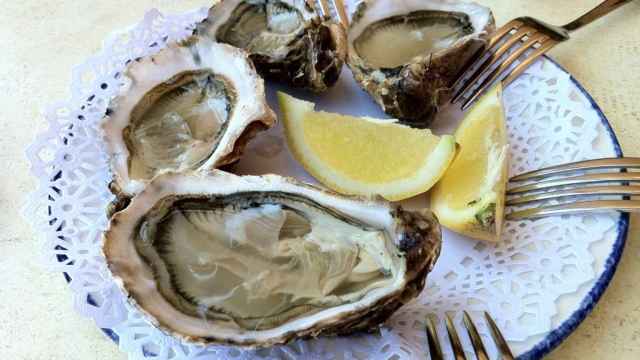 Varias ostras que podrían ayudar a mejorar tu salud mental