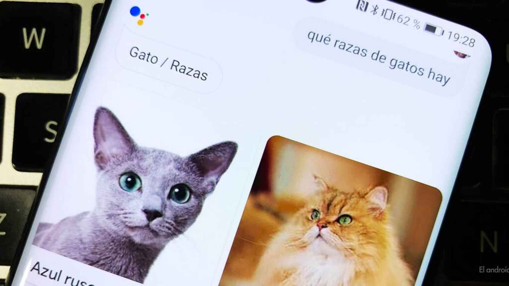 Google Assistant mejora sus respuestas haciéndolas más visuales
