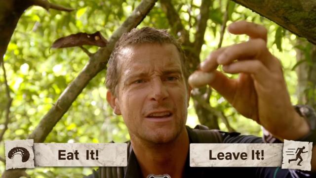 supervivencia netflix bear grylls 1