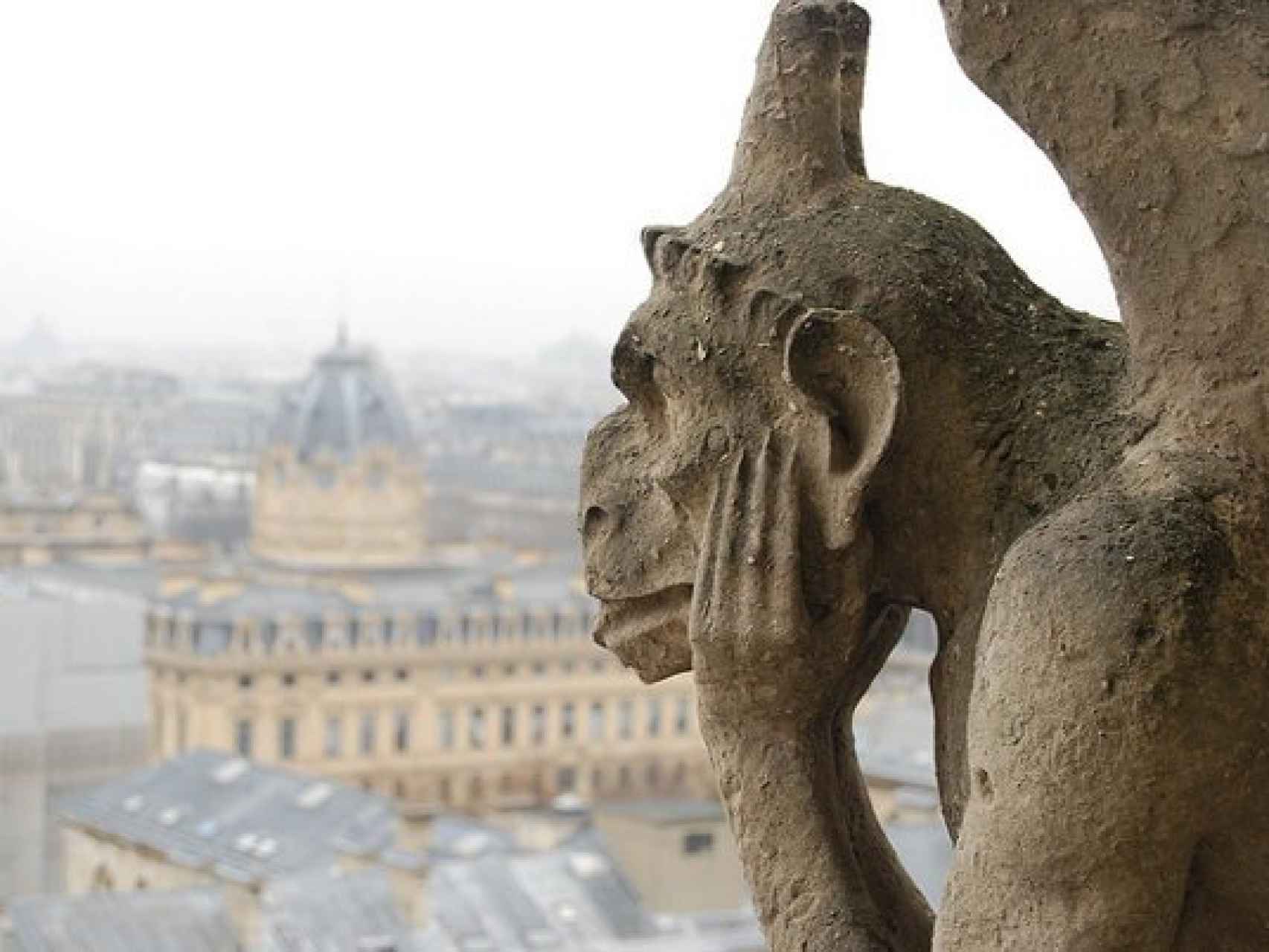 Gárgola de Notre Dame.